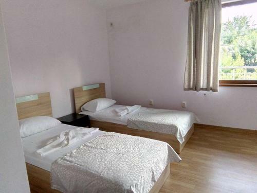 Hostal Alfa Guest House