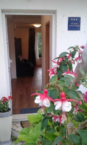 Bluebay Studio Apartment