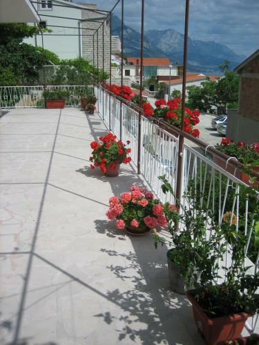 Apartmani Galija