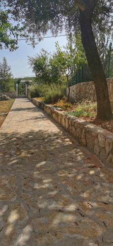 Apartamentos Park