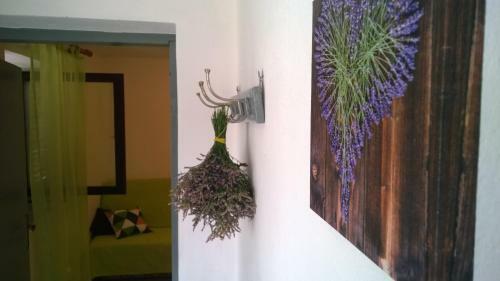 Apartamentos Tome