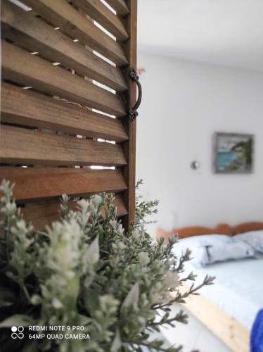 Apartmani Jure
