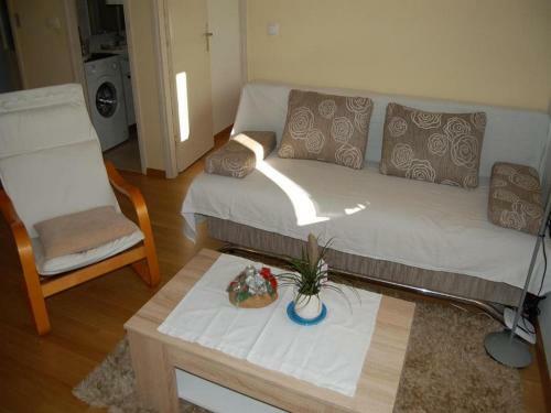 Apartman Bandi?