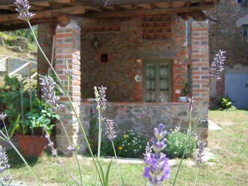 Villa La Celata