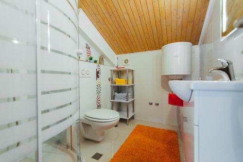 Apartments Toni
