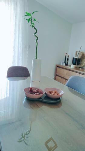 Apartman Jelena
