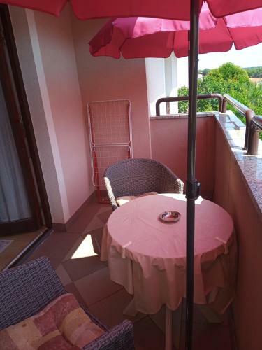 Apartmani Alma