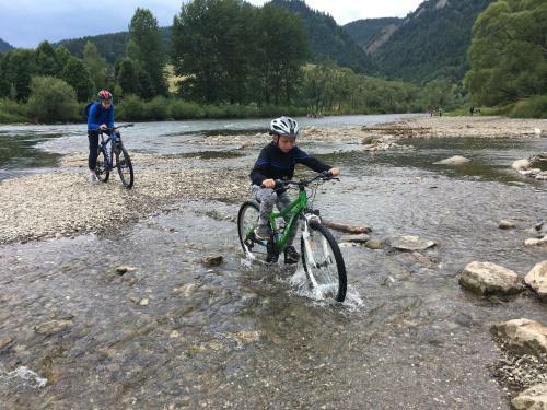 Lodge Domki Letniskowe W Pieninach