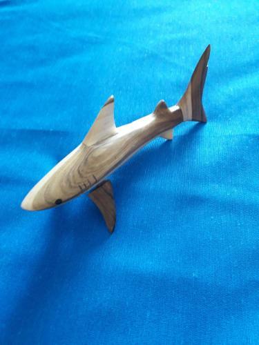 Shark Apartment