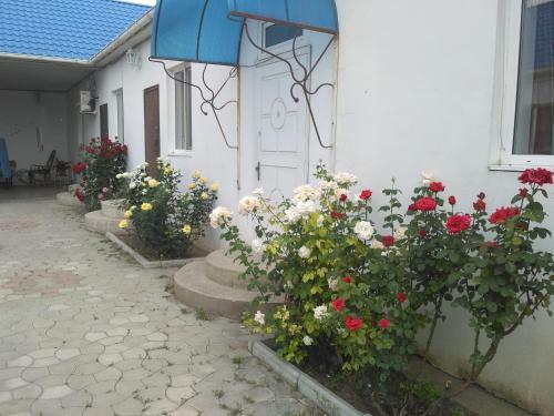 Hostal Julia Guesthouse