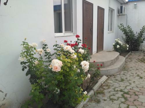 Hostal Julia Guesthouse