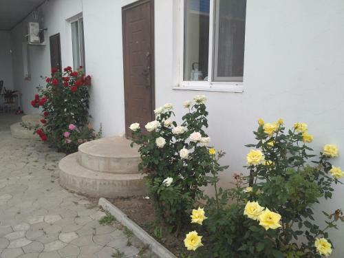 Hostal Julia Guesthouse