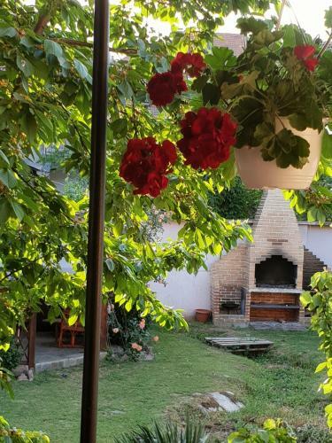 Pretty Garden