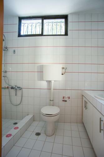 Ioanna's House