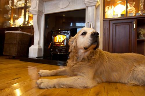 The Tides B&B
