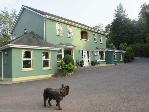 Hostal Watersedge Seaviews