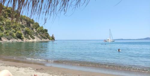 Albergue Panorama