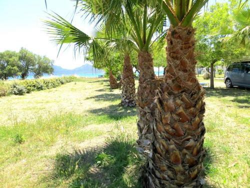 Spacious Apartment On The Beach, Methoni