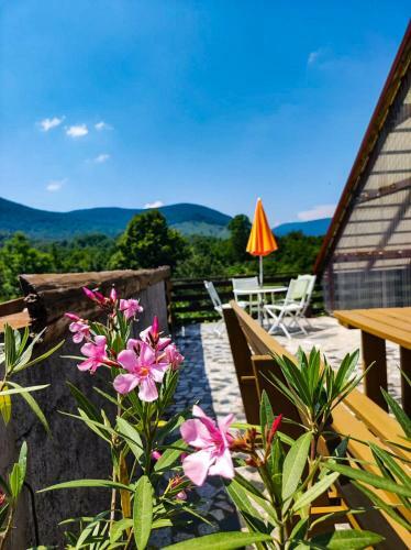 Apartman Majeti?