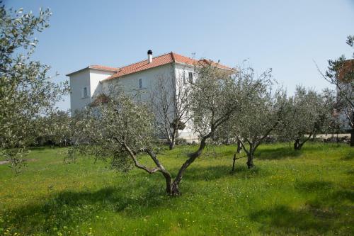 Apartmani Bruna