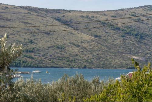 Apartamentos Villa Olive