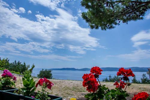 Larus-m Apartments