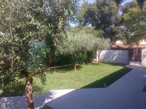 Hostal App Neno