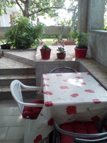 Apartamentos Neva