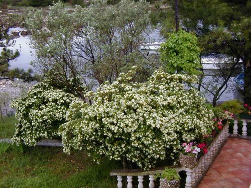 Apartamentos Villa Jaz