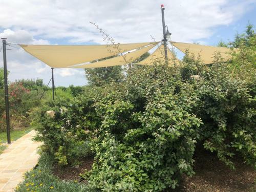 Hostal Villa Gianna