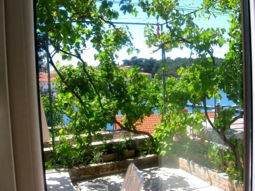Apartment Ivic