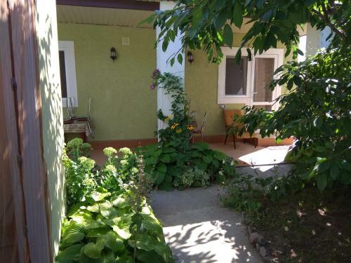 Hostal Oduvanchik