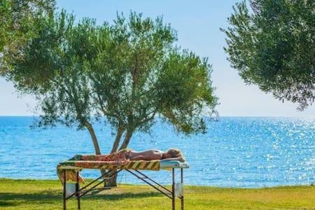Ani Villa-anemi Beach