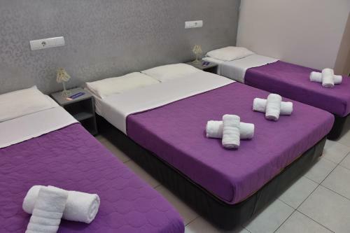 Hotel Erato