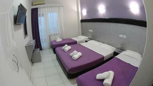 Hotel Erato