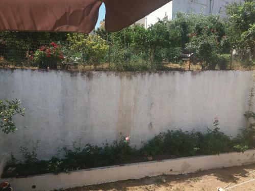 Apartamento Jenny Studios