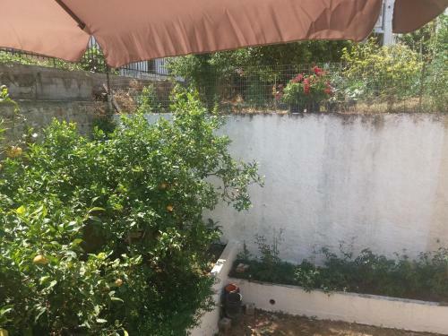 Apartamento Jenny Studios