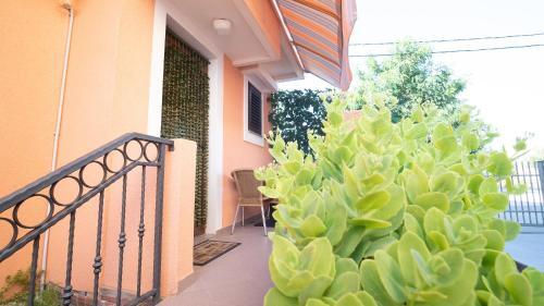 Apartamento Lela 1