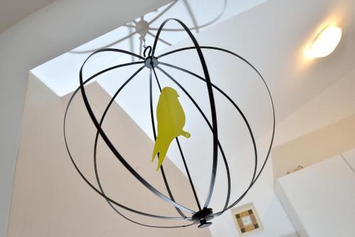Apartamento Lela 1