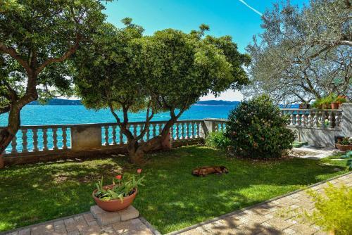 Apartamento Lela 1