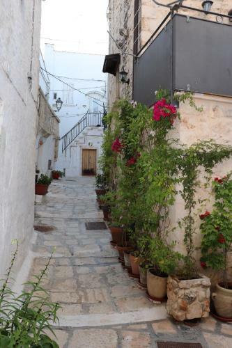 Casa Larosa