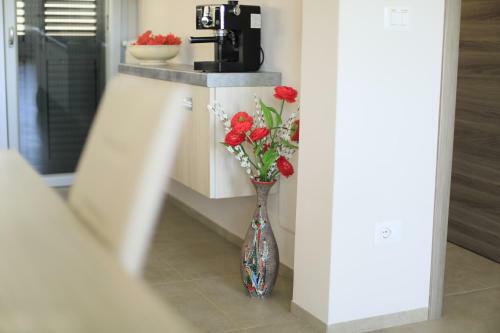 Bed & Breakfast A Casa Di Sofia