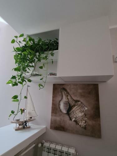 Bed & Breakfast A Casa Di Sofia