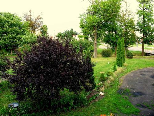 Apartamenty Stajni Jazon Malbork