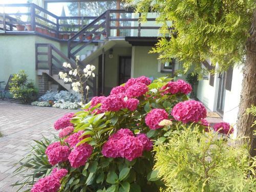 Bed & Breakfast Villa Karo