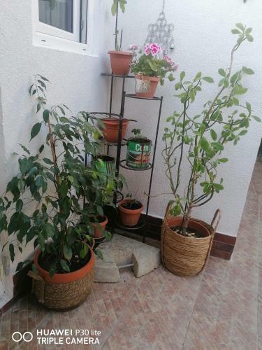 Casa Stefy Vama-veche