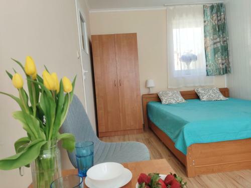 Hotel Ow Heljan Mi?dzywodzie