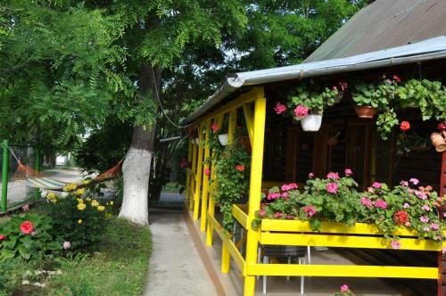 Villa Pensiunea Rustic