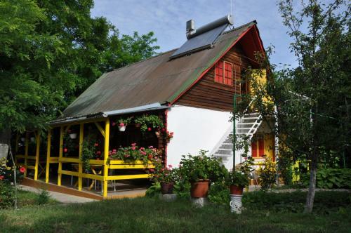 Villa Pensiunea Rustic