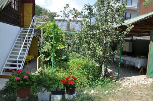 Villa Pensiunea Rustic